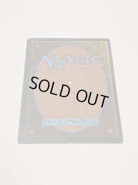 画像6: 《Tropical Island》 3ED HP (6)