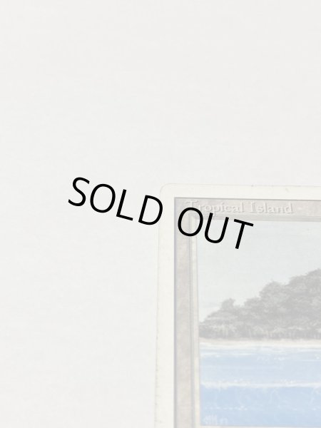 画像2: 《Tropical Island》 3ED HP (2)