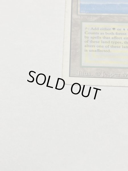 画像5: 《Tropical Island》 3ED HP (5)