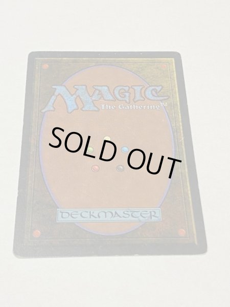 画像6: 《Tropical Island》 3ED HP (6)