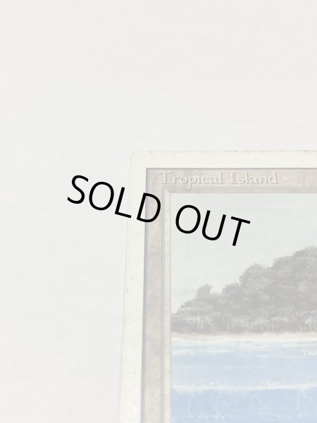 画像2: 《Tropical Island》 3ED HP (2)