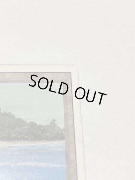 画像3: 《Tropical Island》 3ED HP (3)