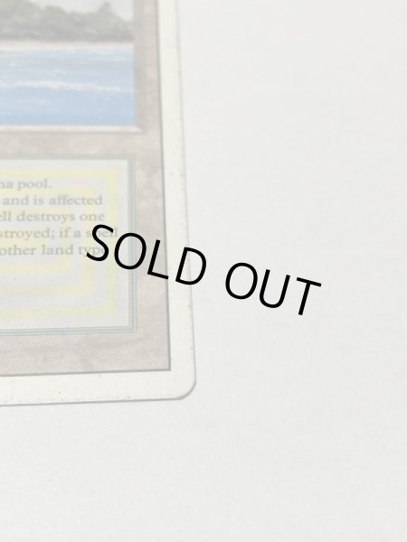 画像4: 《Tropical Island》 3ED HP (4)