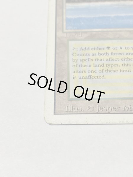 画像5: 《Tropical Island》 3ED HP (5)