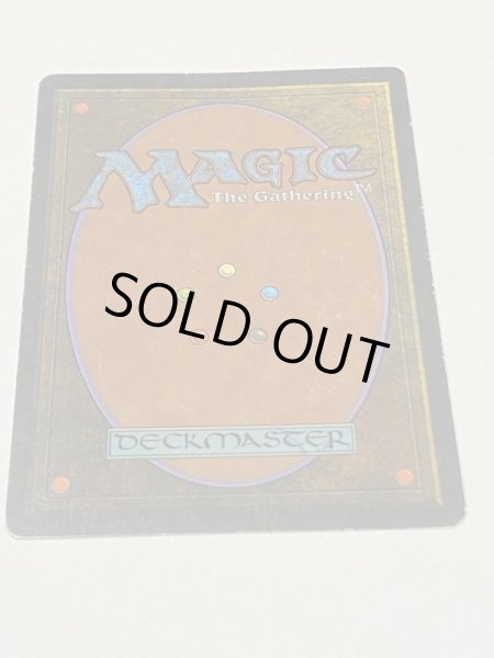 画像6: 《Tropical Island》 3ED HP (6)