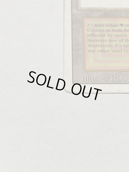 画像5: 《Taiga》3ED HP (5)