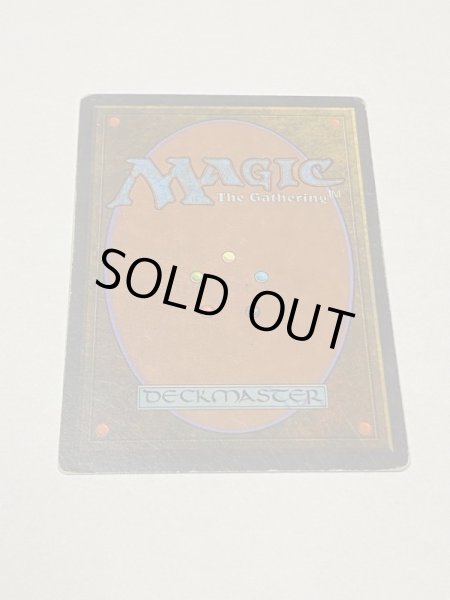 画像6: 《Taiga》3ED HP (6)