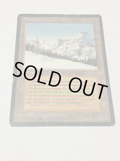 Taiga - MTG専門店 Initiative