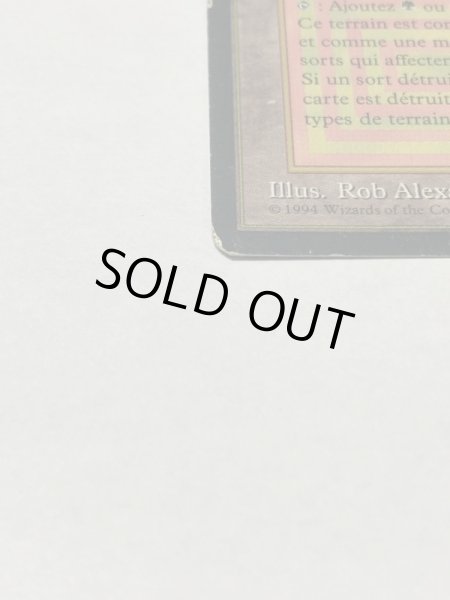 画像5: 《Taiga》[3EDBB] HP フランス語 (5)