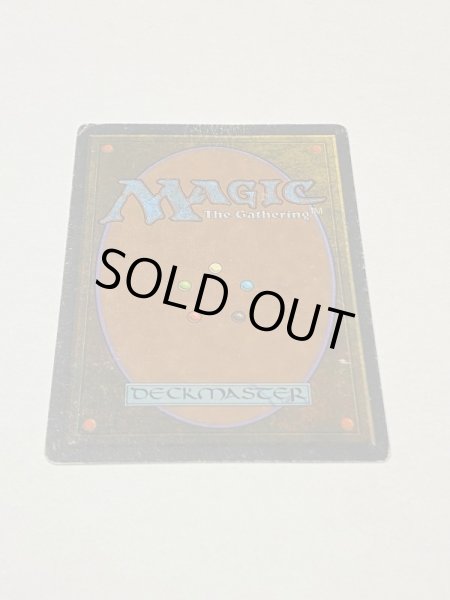 画像6: 《Taiga》[3EDBB] HP フランス語 (6)