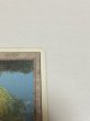 画像3: 《Volcanic Island》[3ED] MP (3)