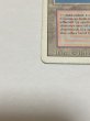画像5: 《Volcanic Island》[3ED] MP (5)