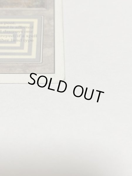 画像4: 《Scrubland》[3ED] HP (4)