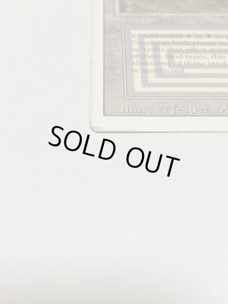 画像5: 《Scrubland》[3ED] HP (5)