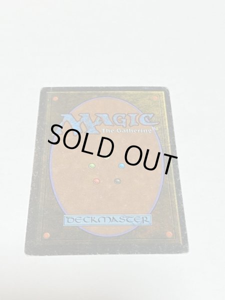 画像6: 《Scrubland》[3ED] HP (6)