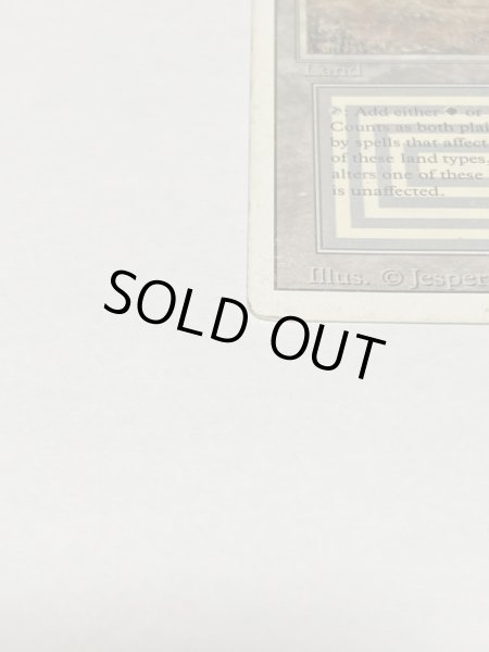 画像5: 《Scrubland》[3ED] Poor (5)