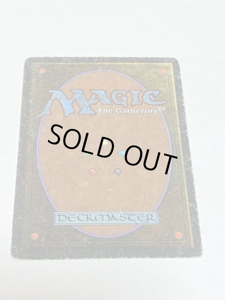 画像6: 《Scrubland》[3ED] Poor (6)