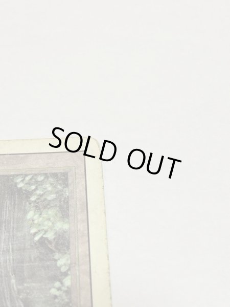 画像3: 《Bayou》3ED Poor (3)