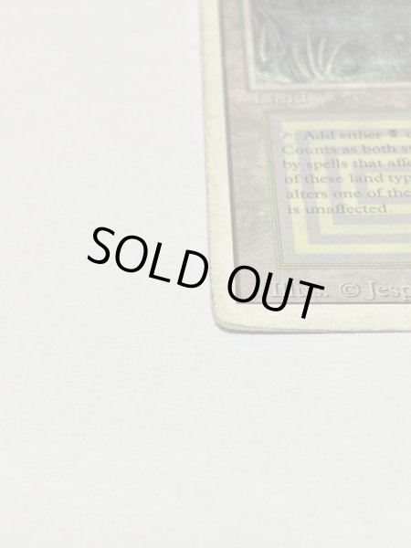 画像5: 《Bayou》3ED Poor (5)