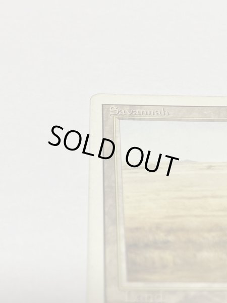 画像2: 《Savannah》[3ED] HP (2)