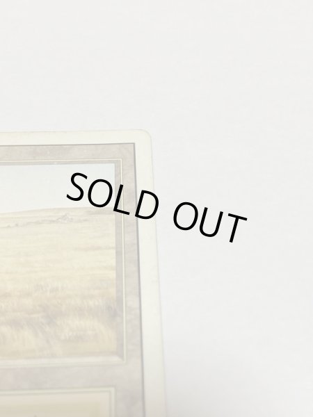 画像3: 《Savannah》[3ED] HP (3)