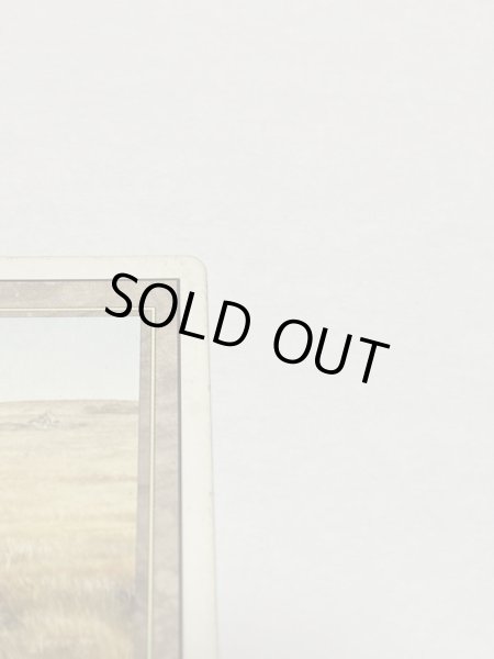 画像3: 《Savannah》[3ED] HP (3)