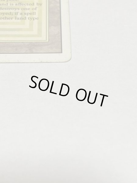 画像4: 《Savannah》[3ED] HP (4)