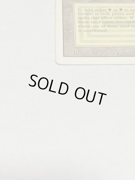 画像5: 《Savannah》[3ED] HP (5)