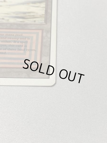 画像4: 《Badlands》[3ED] MP (4)