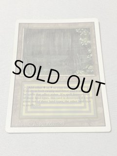 Bayou - MTG専門店 Initiative