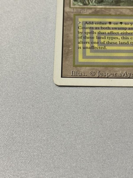 画像5: 《Bayou》[3ED] SP (5)