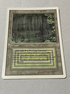MTG』デュアルランド ドイツ語 tundra マジック：ザ・ギャザリング