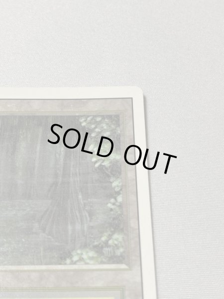 画像3: 《Bayou》[3ED] SP (3)