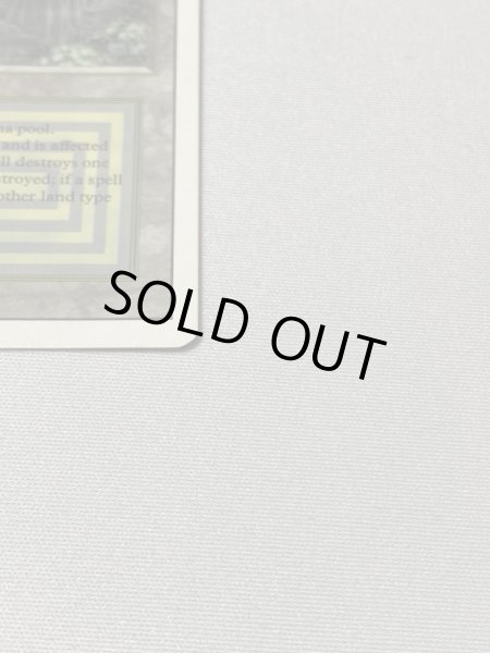 画像4: 《Bayou》[3ED] SP (4)