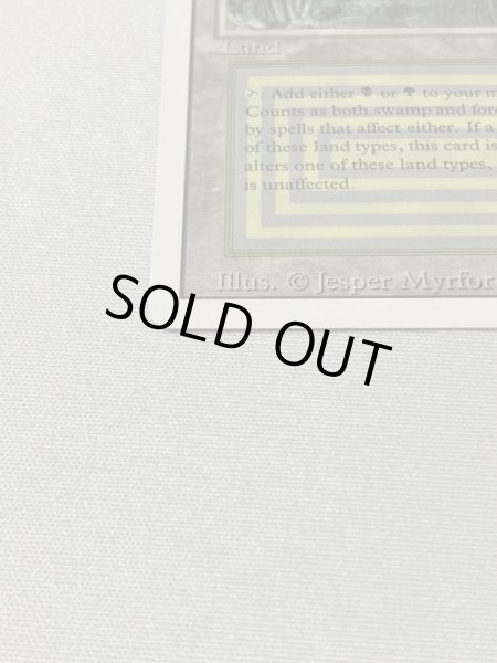 画像5: 《Bayou》[3ED] SP (5)