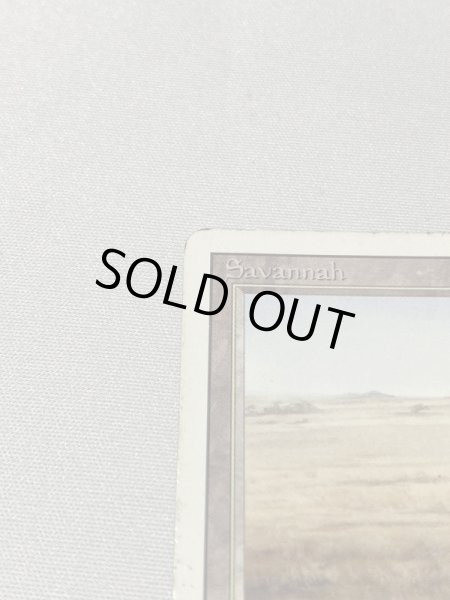 画像2: 《Savannah》[3ED] HP (2)