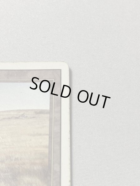 画像3: 《Savannah》[3ED] HP (3)