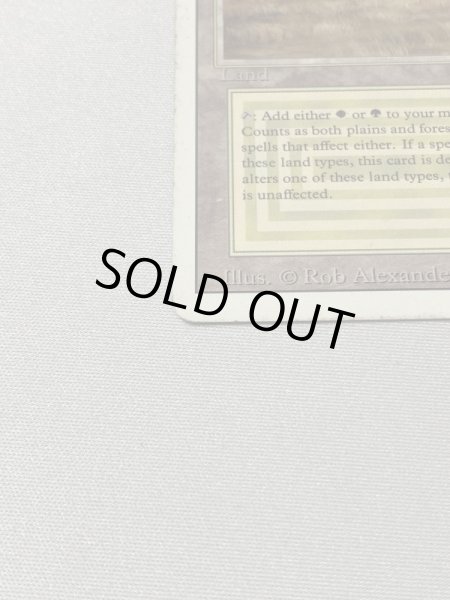 画像5: 《Savannah》[3ED] HP (5)