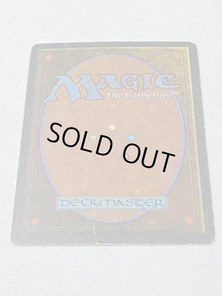 画像6: 《Savannah》[3ED] HP (6)