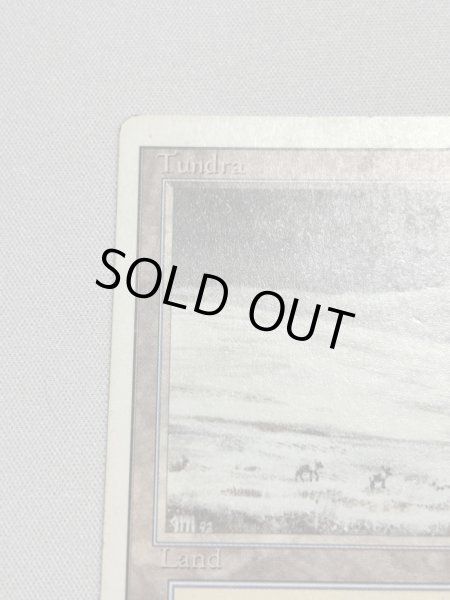 画像2: 《Savannah》[3ED] MP (2)