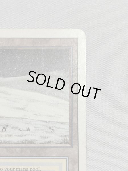 画像3: 《Savannah》[3ED] MP (3)