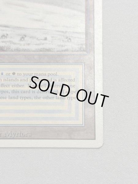 画像5: 《Savannah》[3ED] MP (5)