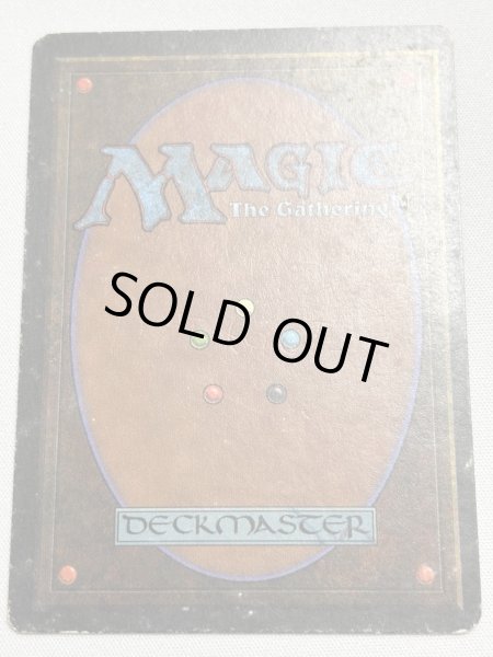 画像6: 《Savannah》[3ED] MP (6)