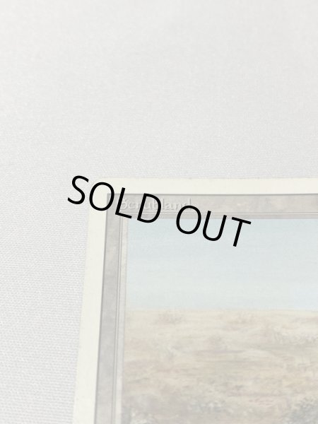 画像2: 《Scrubland》[3ED] MP (2)