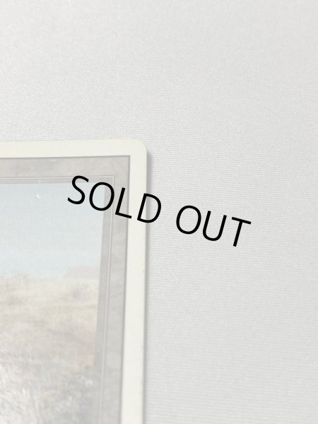 画像3: 《Scrubland》[3ED] MP (3)