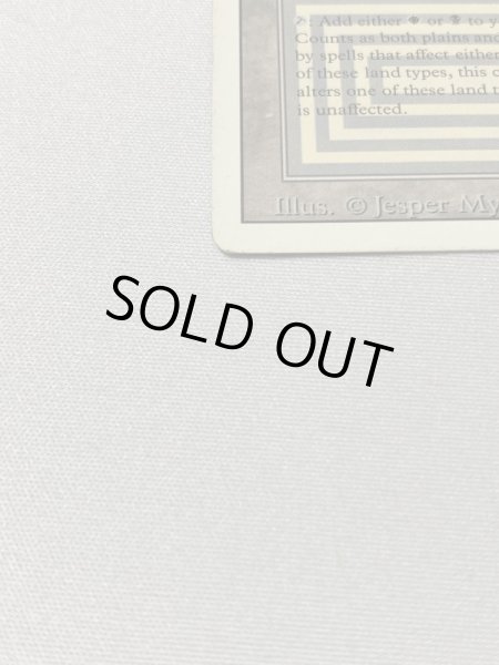 画像4: 《Scrubland》[3ED] MP (4)