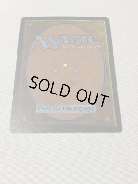 画像6: 《Scrubland》[3ED] MP (6)