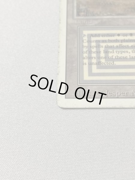 画像5: 《Scrubland》[3ED] HP (5)