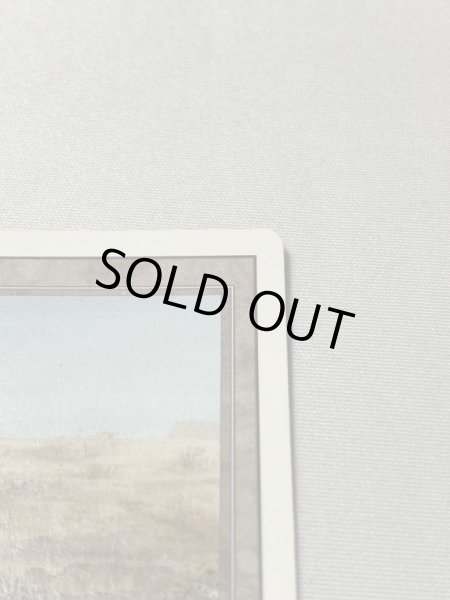 画像3: 《Scrubland》[3ED] NM (3)