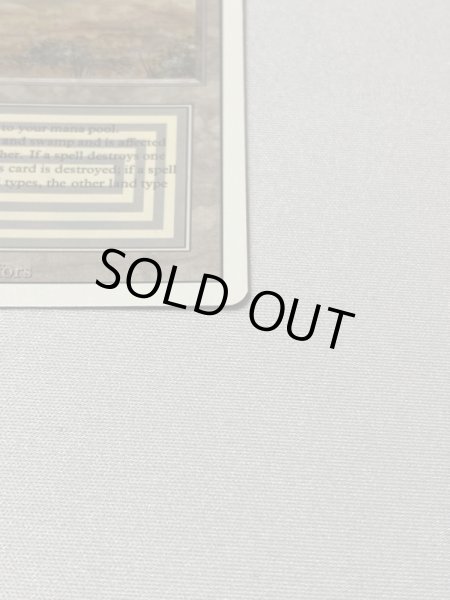 画像4: 《Scrubland》[3ED] NM (4)